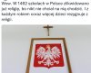 Nieźle. 