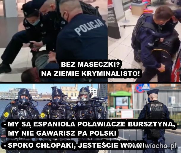 7 lat rządów PiSdebili 