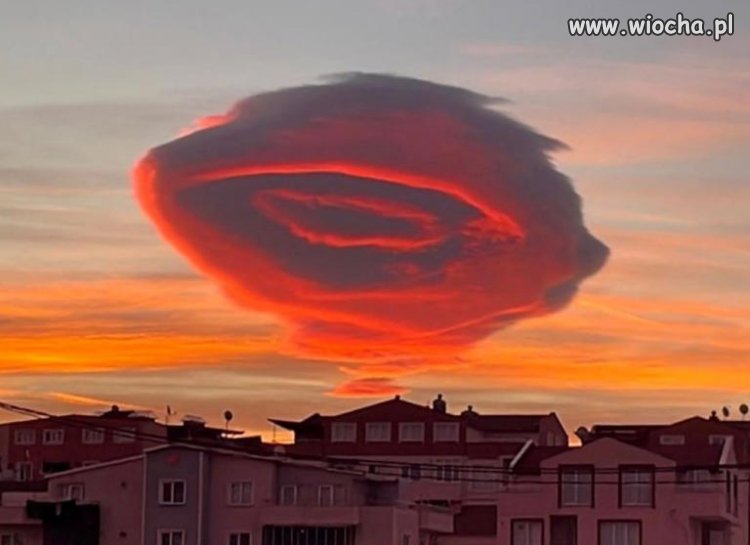Gdy od tygodnia jesteś singlem