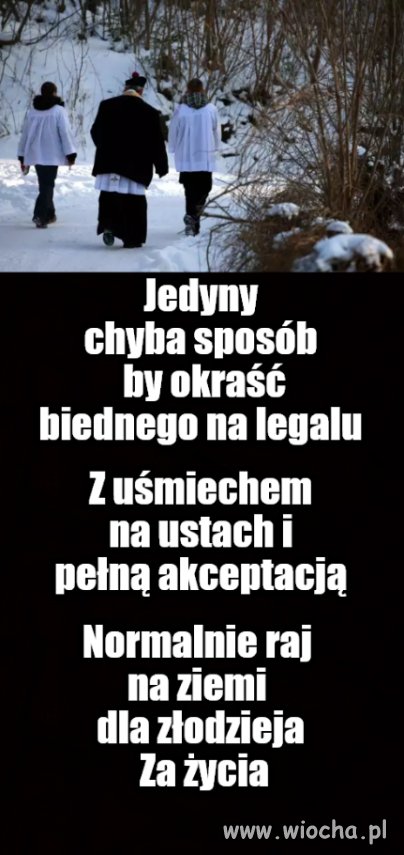 Numizmatycy użytkowi
