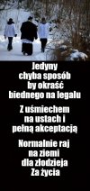 Numizmatycy użytkowi