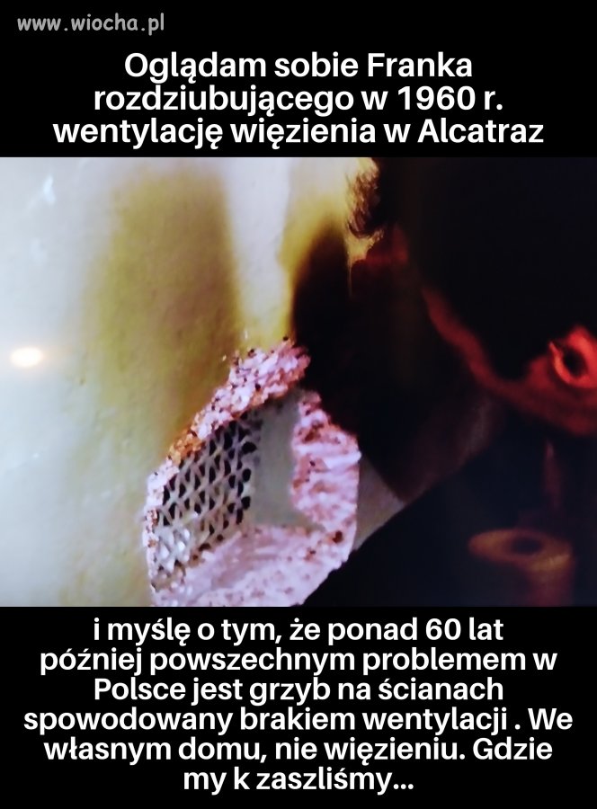 XXI wiek w PL
