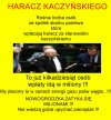 Polska PiSu, to nie jest kraj do życia, dla normalnych uczciwych ludzi!