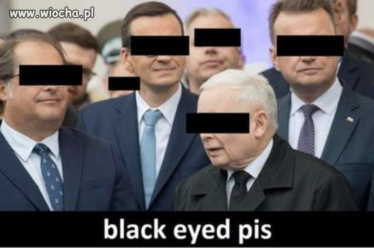 I to się nazywa reklama na najlepiej wydaną bańkę przez Tvpiss