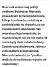 Biedactwa zmanipulowane przez dwie nastolatki 
