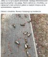 Jaki kraj takie ptaki.