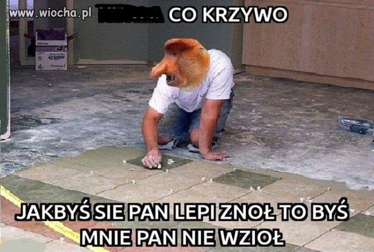 Sam chciałeś
