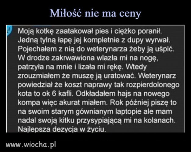 "Empatia" - Tego najbardziej brakuje w polskim narodzie!