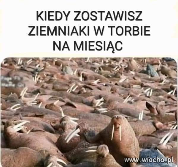 Kiedy zostawisz
