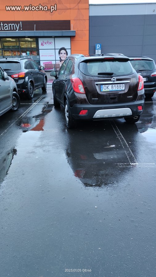 Mistrz parkowania