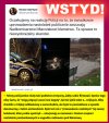 Pieskom podupczyć się zachciało