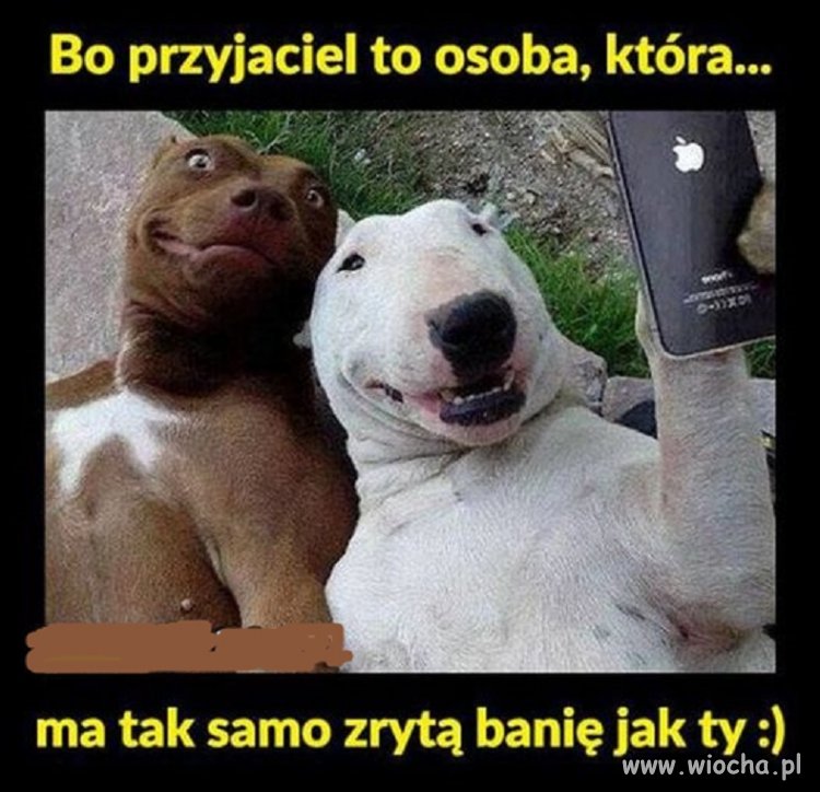 Bez komentarza