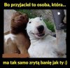 Bez komentarza