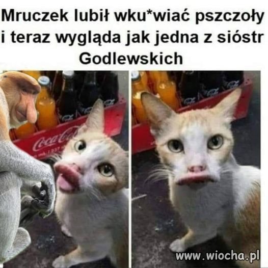 Jak wiele innych