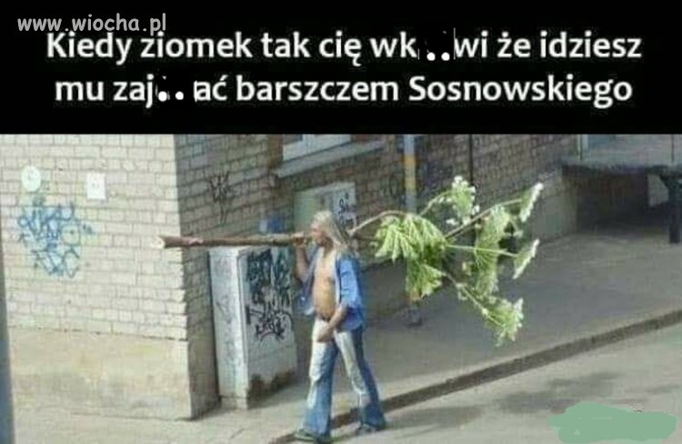 Tanio jak barszcz