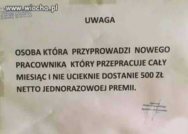 Premia taka