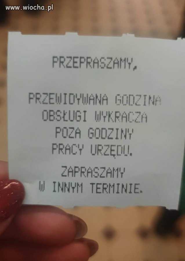 Zapraszamy