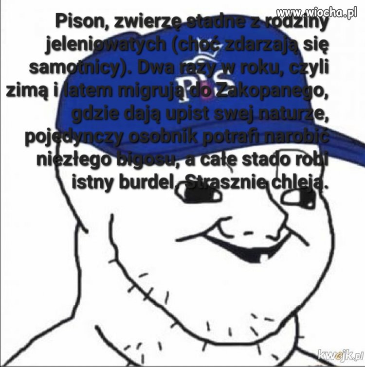 Pisony