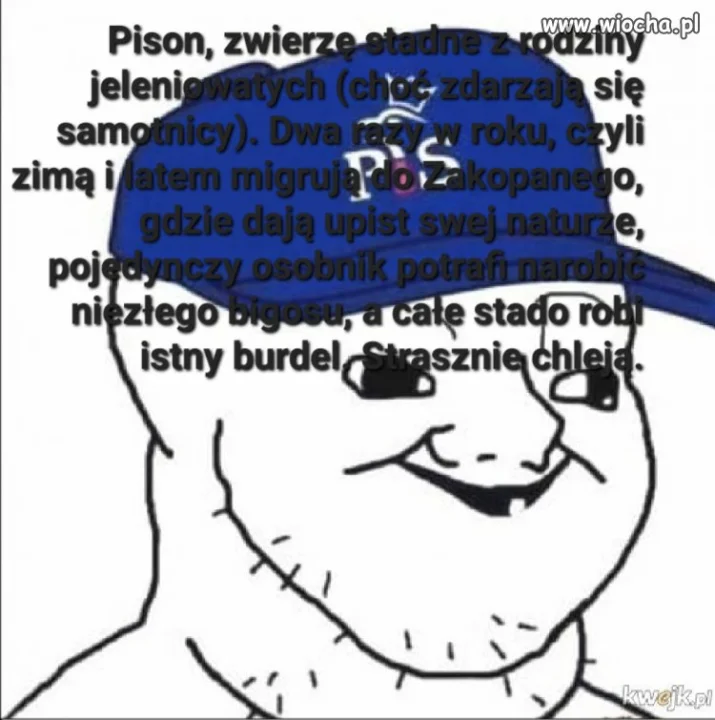 Pisony