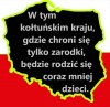 A 500+ kosztuje 41 mld zł rocznie