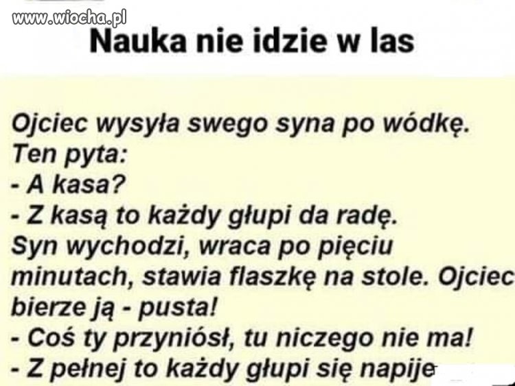 Trafiła kosa