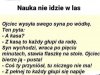 Trafiła kosa