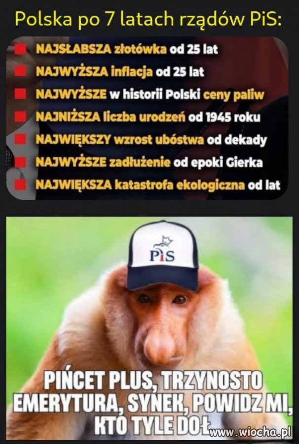 Typowy pisowiec 