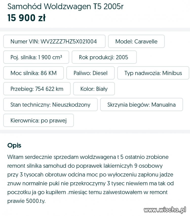 Mistrz ortografii 