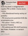 Kilka słów o pisonach