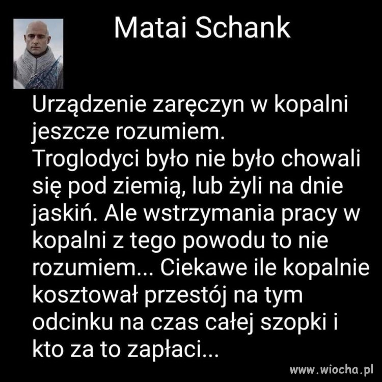 Celebryci pisowscy kur#a mać