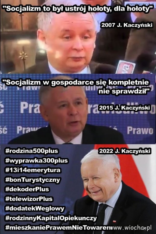 Socjalizm według kaczora