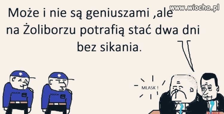 Bronią i chronią...
