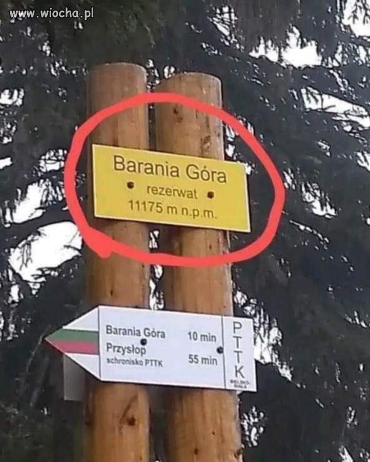 Mamy to