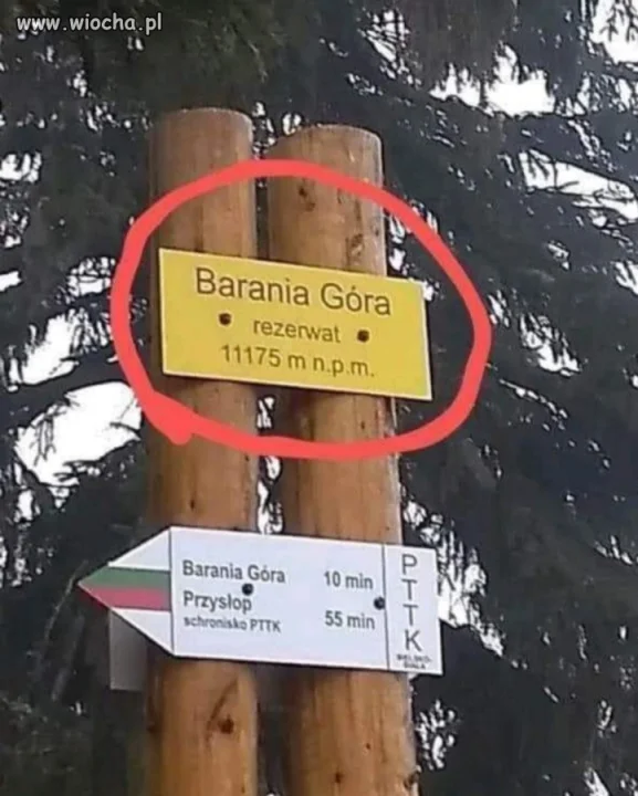 Mamy to