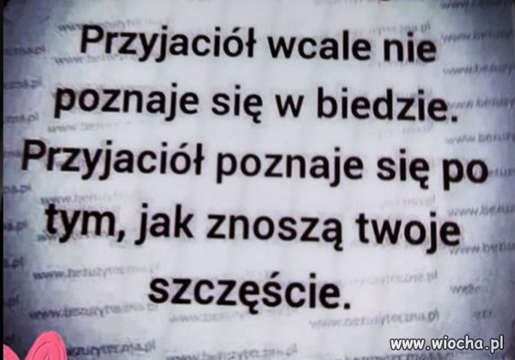 Niestety