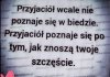 Niestety