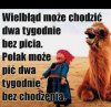 Nawet w Mongolii nie wiedzieli