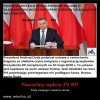 877 AFER PiS i jednym podpisem, wszyscy niewinni..