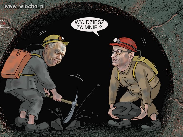 PiS już niżej nie może upaść, ale dalej kopia dno!
