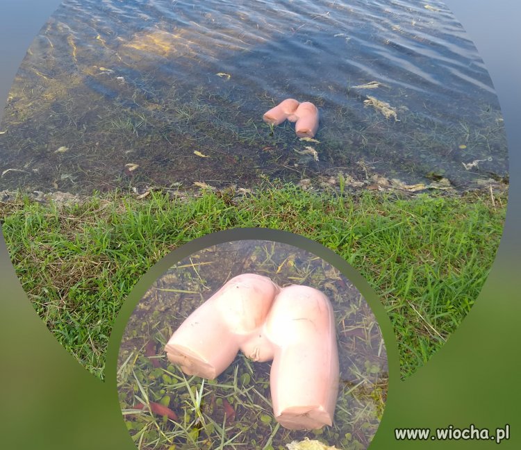 Poszedłem sobie na rybki...