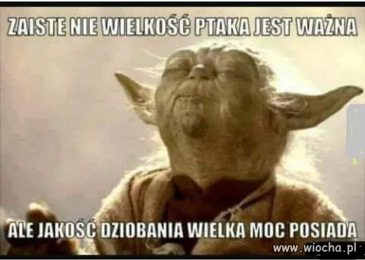 Nie ważna szpada