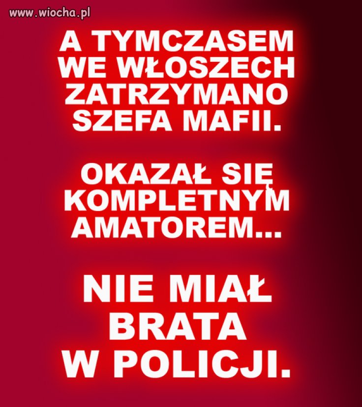 Amator jakiś