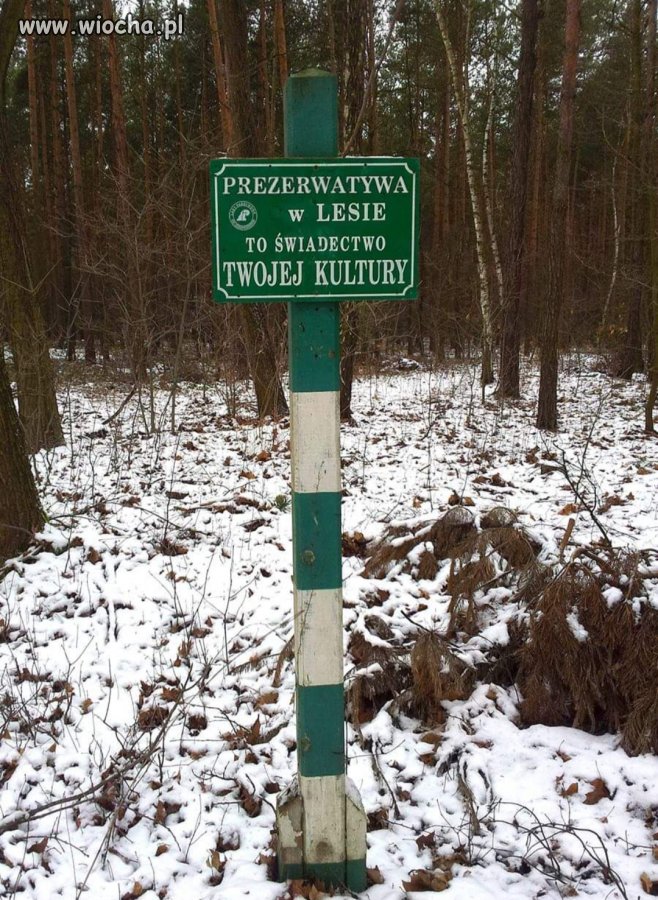 Interesująca teza 