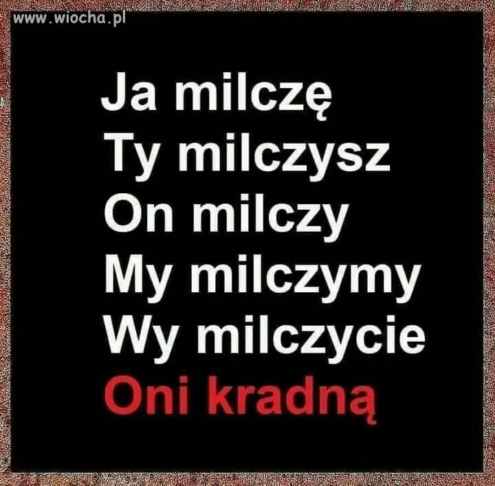 Skoro jest przyzwolenie to kradną