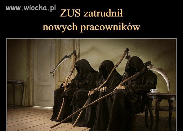 ZUS rekrutuje 