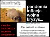 Nawet się nie spodziewasz...