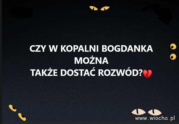 Pisowcy to przeważnie rozwodnicy 