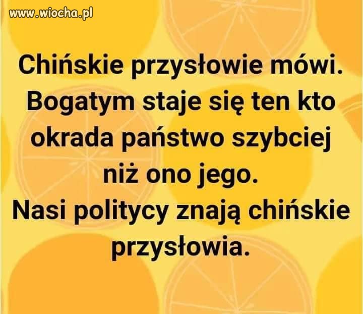 Pisony na wszystkim się znają przecież