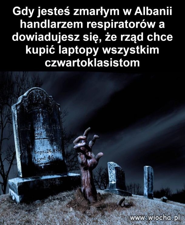Biznes musi się kręcić 
