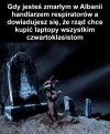 Biznes musi się kręcić 